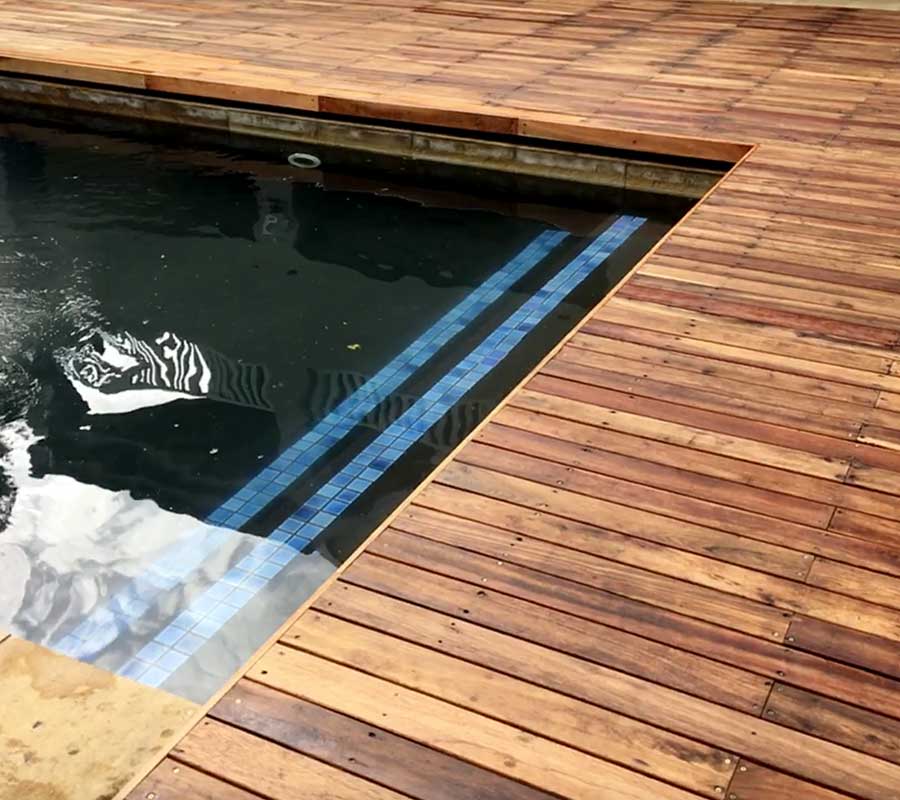 Pool Deck